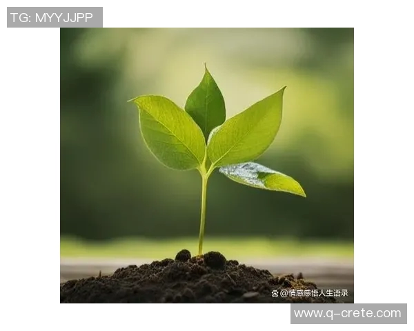 吕俊虎的传奇人生与奋斗历程探索他在职场与生活中的成功秘诀与启示